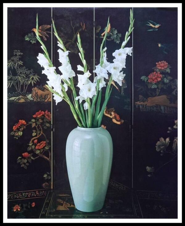 DAC 50191 Oriental Beauty